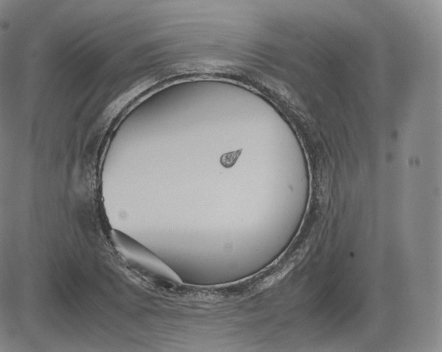 X0000083561073200702231557