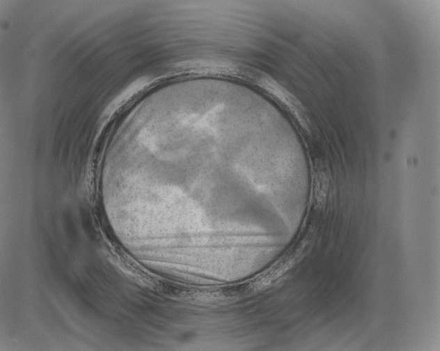 X0000083561074200702231557