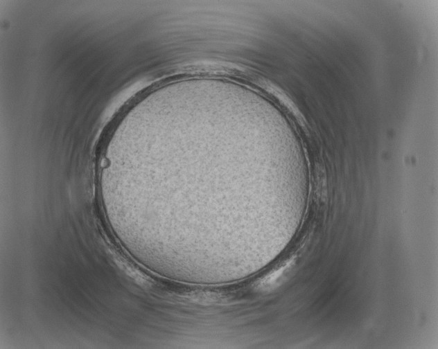 X0000083561075200702231557