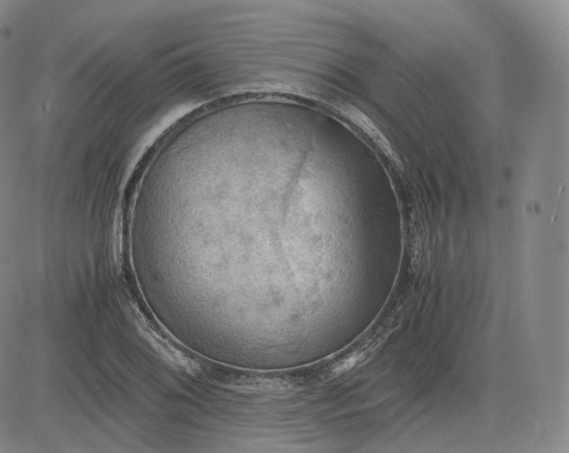 X0000083561076200702231557