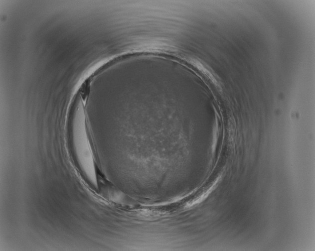 X0000083561077200702231557