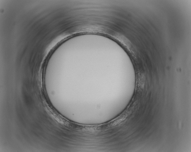 X0000083561078200702231557