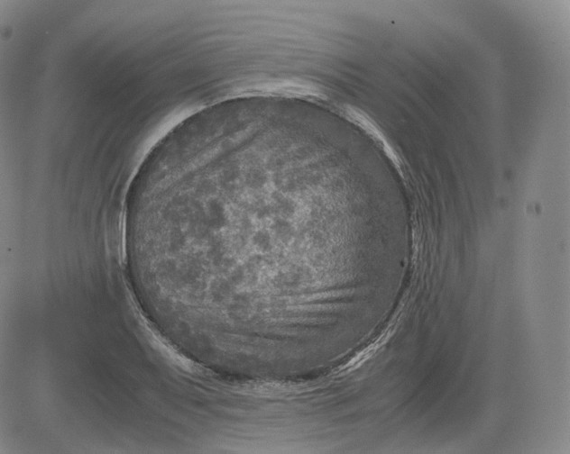 X0000083561079200702231557