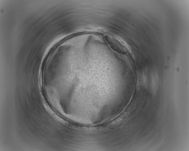 X0000083561080200702231557