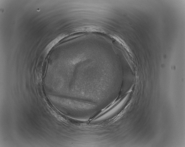 X0000083561081200702231557