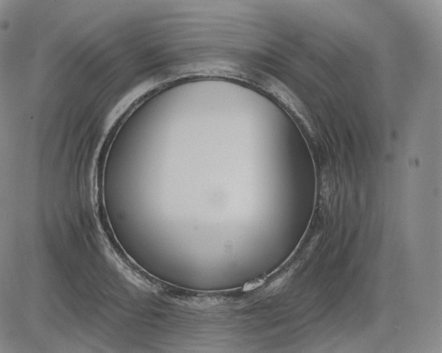 X0000083561082200702231557