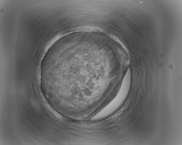 X0000083561083200702231557