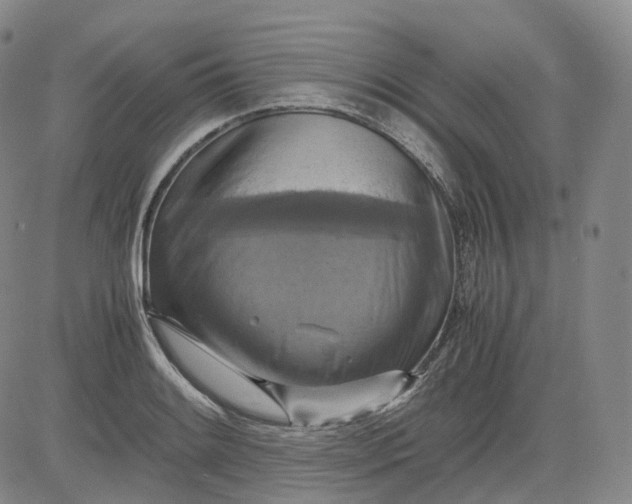 X0000083561084200702231557