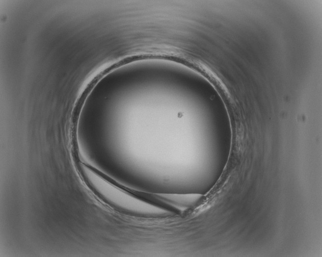 X0000083561085200702231557