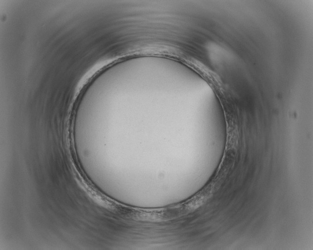 X0000083561086200702231557