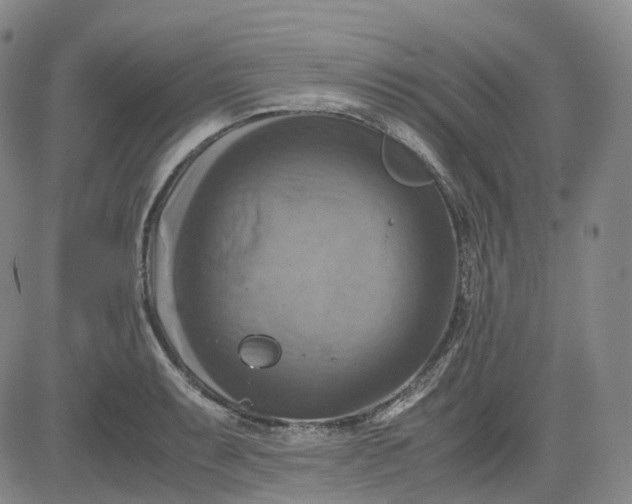 X0000083561087200702231557