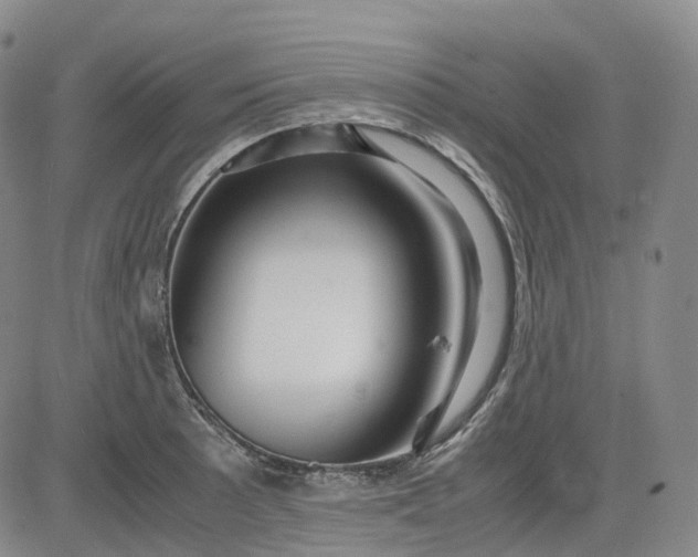 X0000083561089200702231557