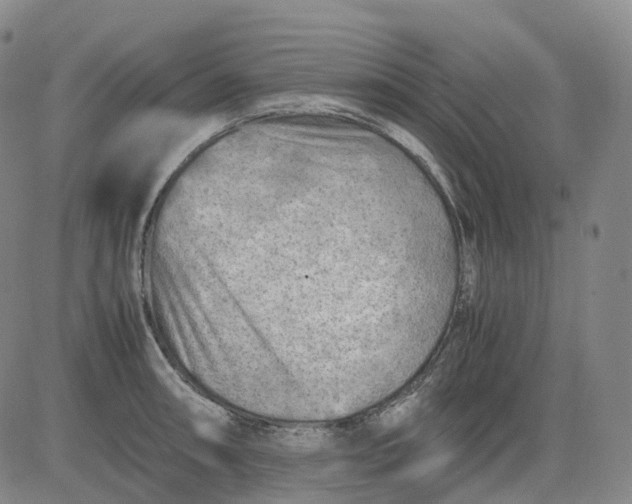 X0000083561090200702231557