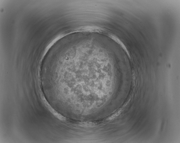 X0000083561091200702231557