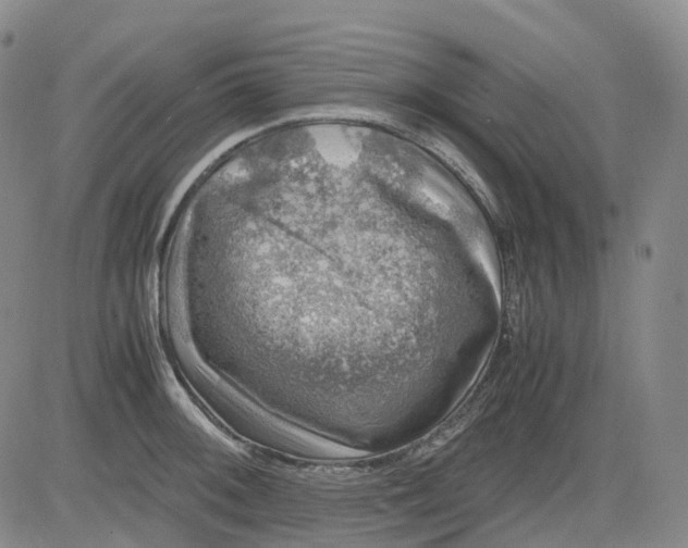 X0000083561092200702231557