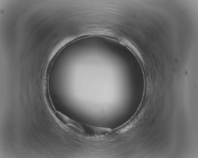 X0000083561093200702231557