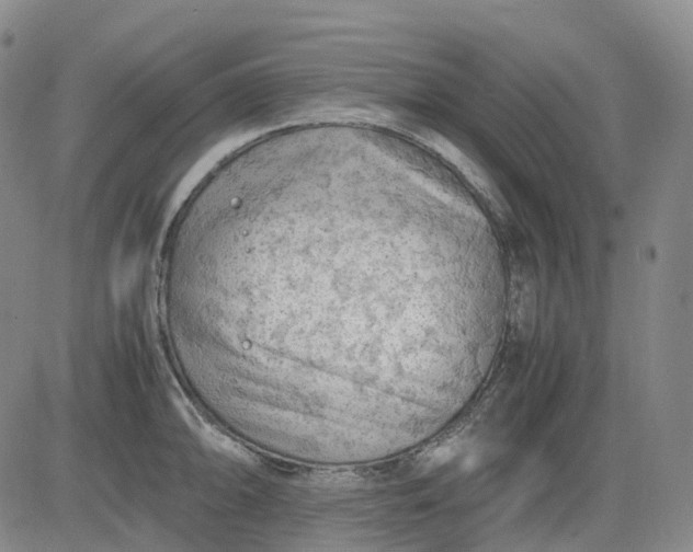 X0000083561094200702231557