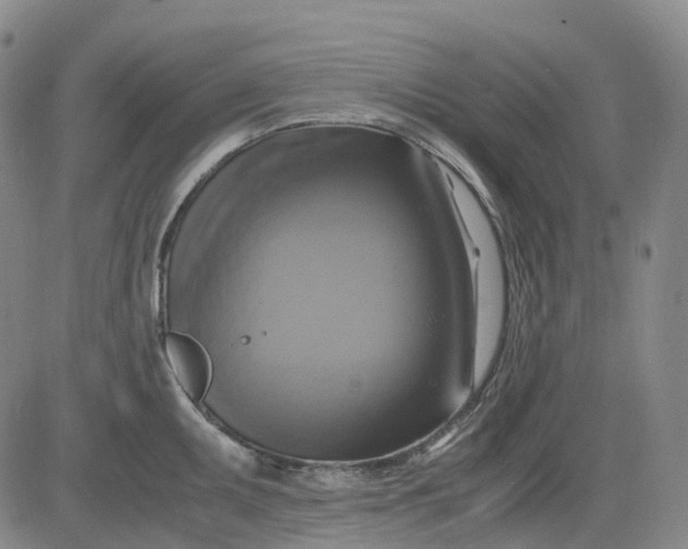 X0000083561095200702231557