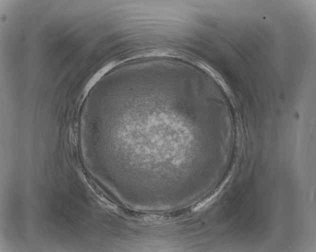 X0000083561097200702231557