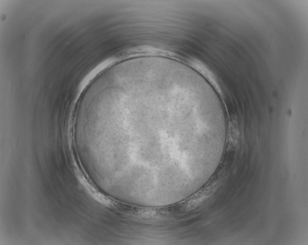 X0000083561098200702231557