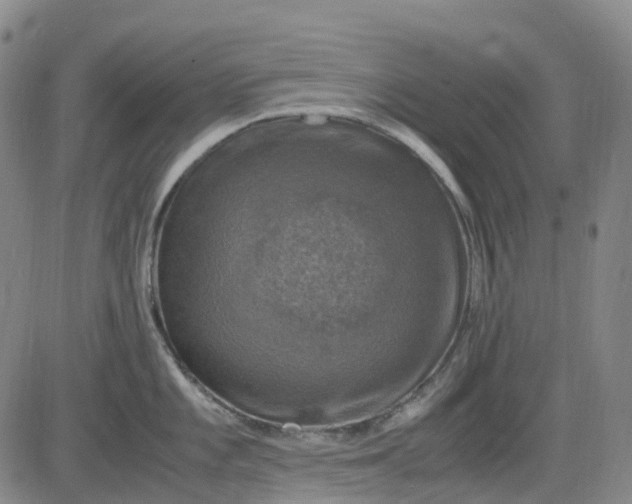 X0000083561101200702231557