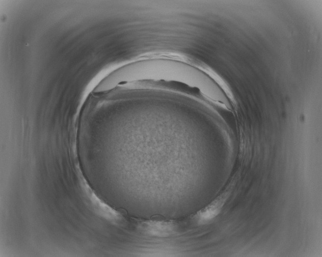 X0000083561102200702231557