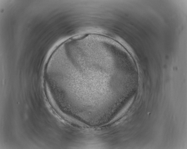 X0000083561104200702231557