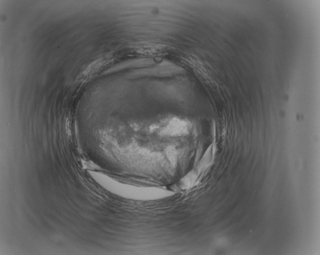 X0000083561106200702231556