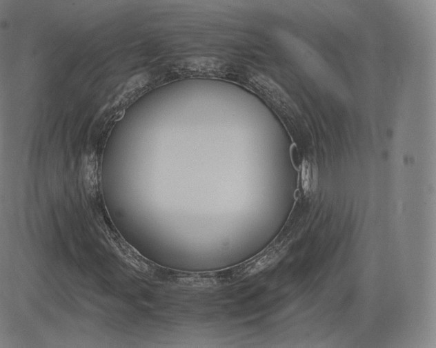 X0000083561107200702231556