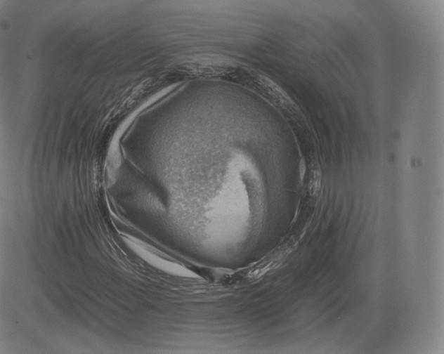 X0000083561108200702231556