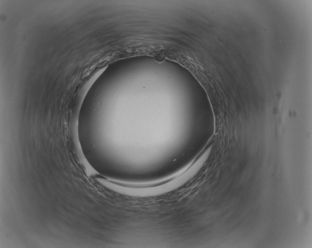 X0000083561109200702231556