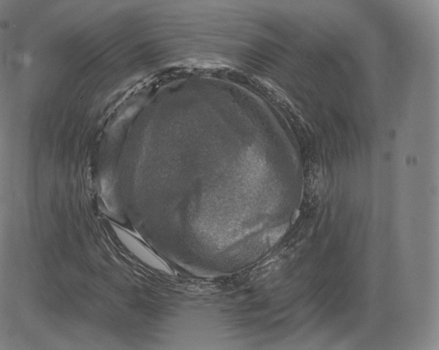 X0000083561110200702231556