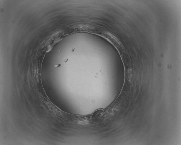 X0000083561111200702231556