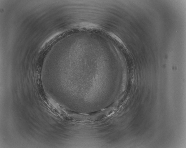 X0000083561112200702231556