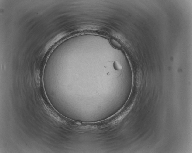 X0000083561113200702231556