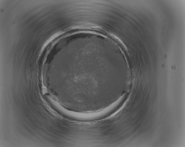 X0000083561114200702231556