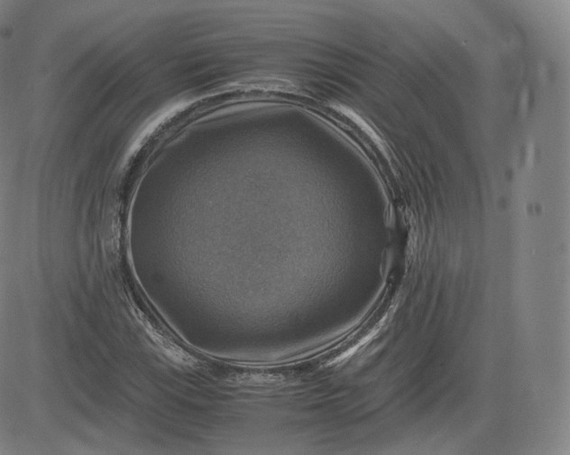 X0000083561115200702231556