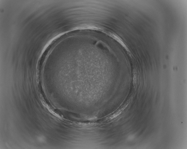 X0000083561116200702231556