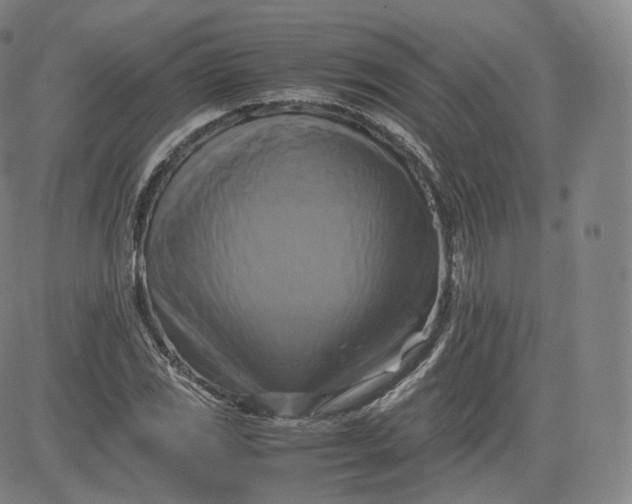 X0000083561117200702231556