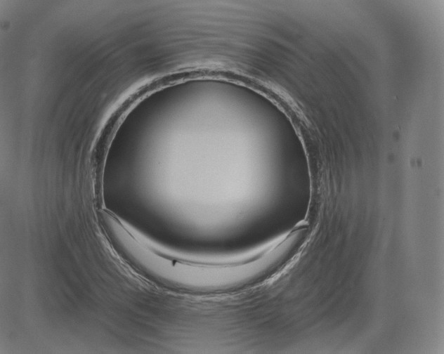 X0000083561118200702231556