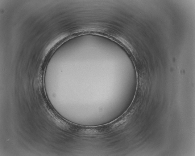 X0000083561119200702231556