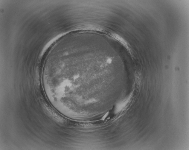 X0000083561120200702231556