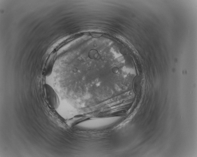 X0000083561121200702231556