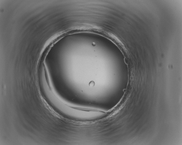 X0000083561122200702231556