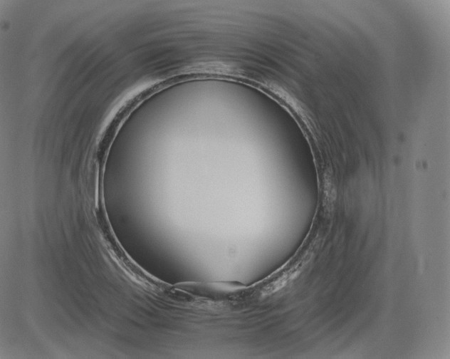 X0000083561123200702231556