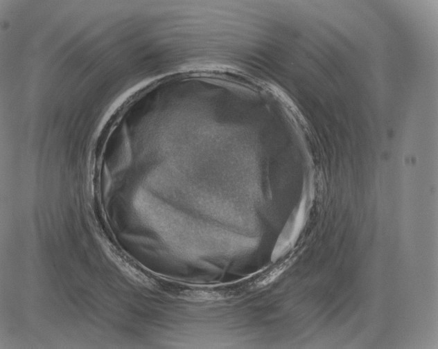 X0000083561124200702231556