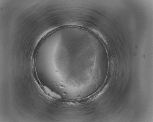 X0000083561125200702231556