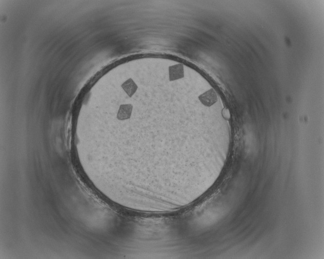 X0000083561126200702231556