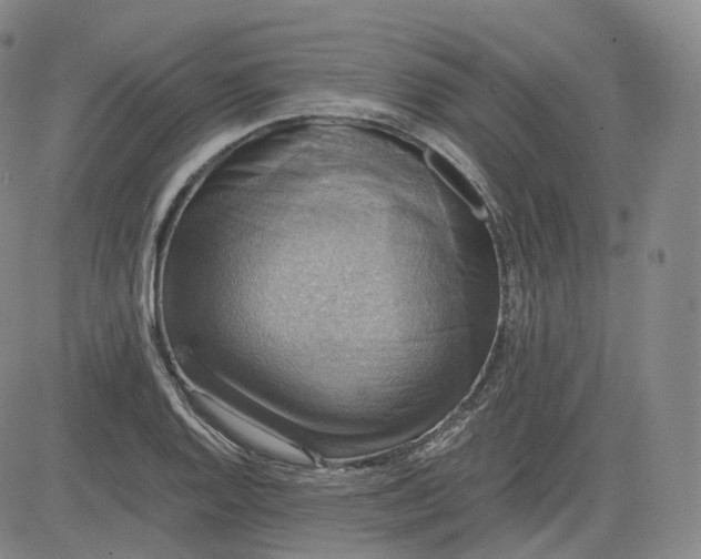 X0000083561128200702231556