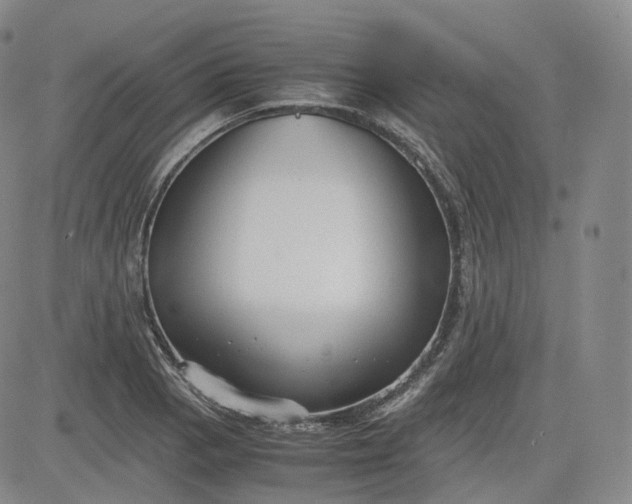 X0000083561129200702231556